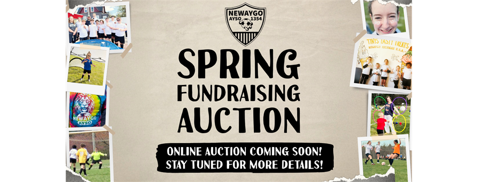 Spring Fundraising auction!
